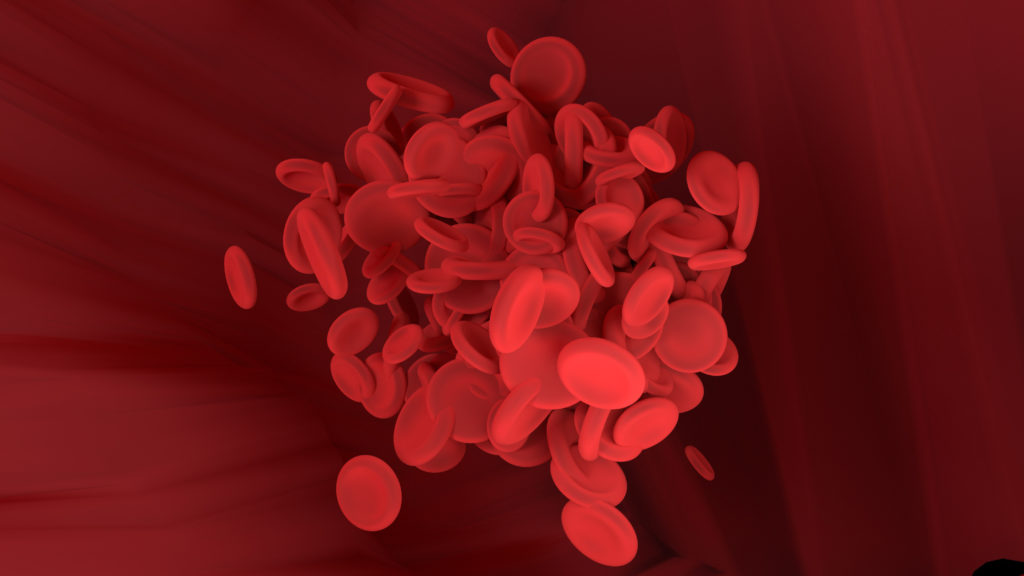 red blood cell is moving blood vessel