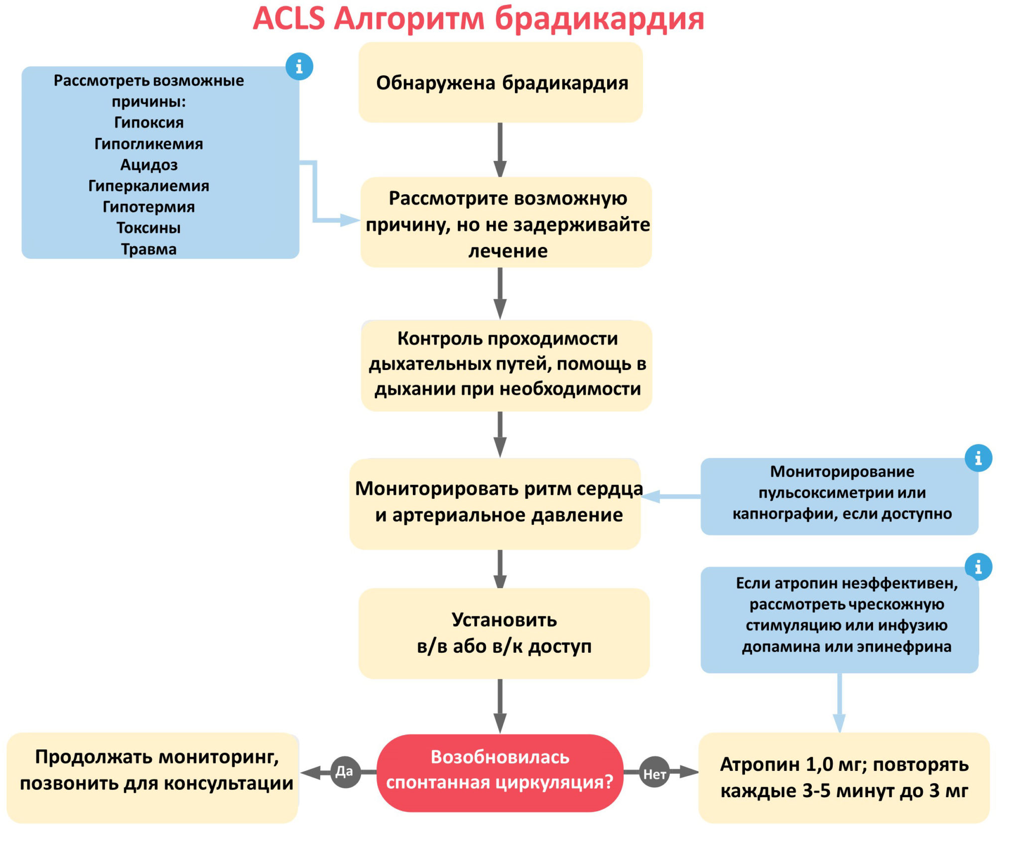 Брадикардия сердца диета в домашних условиях Брадикардия сердца диета в домашних условиях